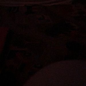 Meet your Posher, Bernardina